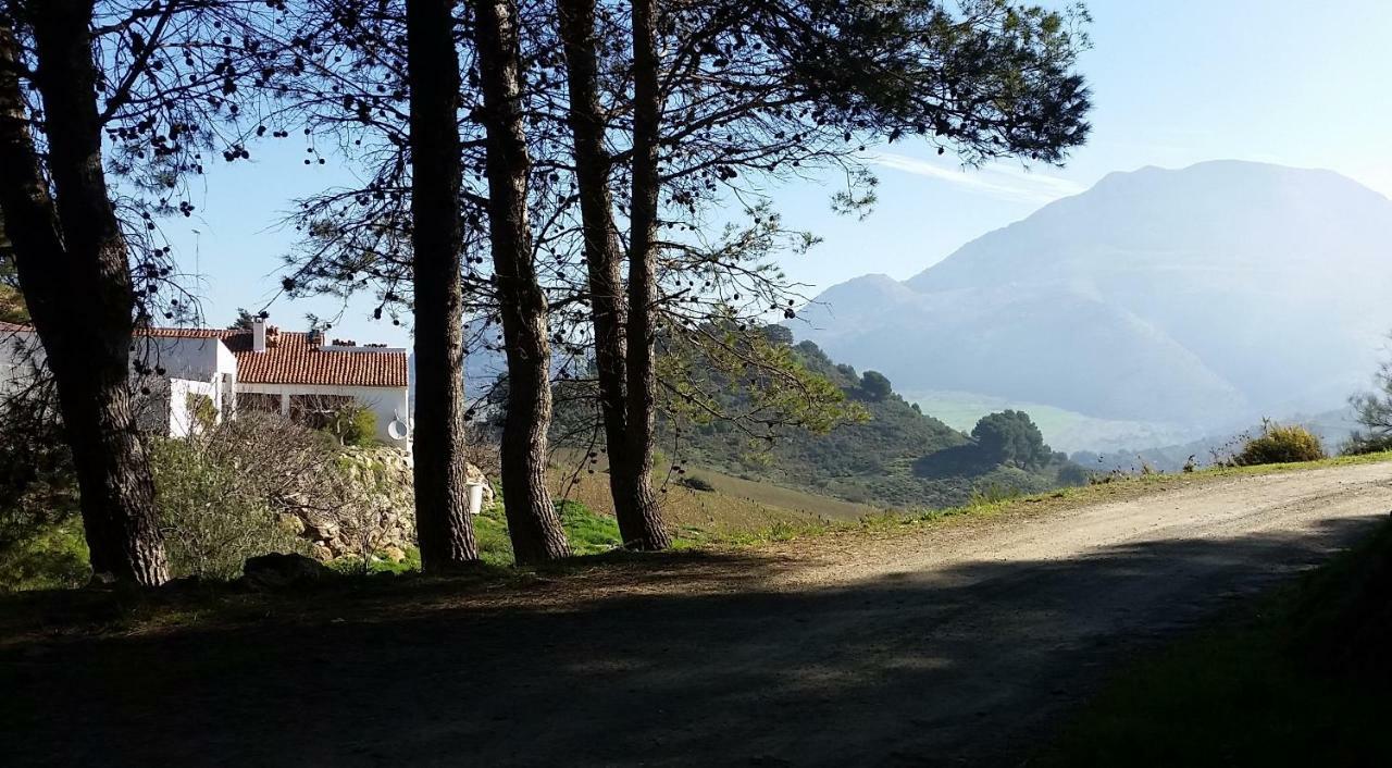 Finca Las Morenas Yunquera Buitenkant foto
