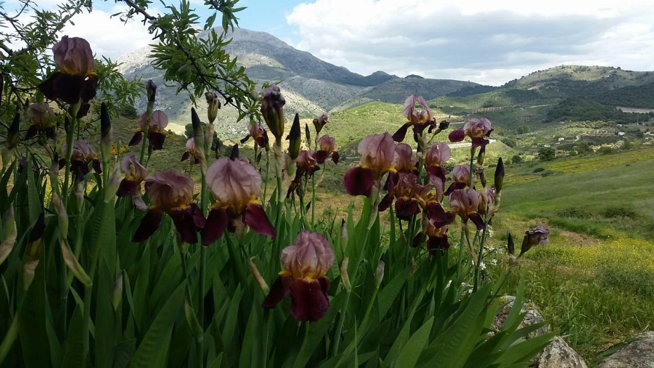 Finca Las Morenas Yunquera Buitenkant foto